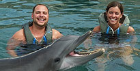 Dolphin Experience King'S Wharf, Bermuda