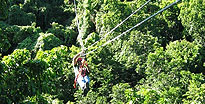 Canopy Tour & Challenge Course Antigua