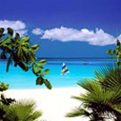 Caribbean