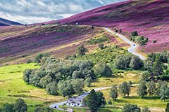 Cairngorm Mountain