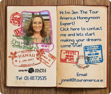 Cruise breaks honeymoon help