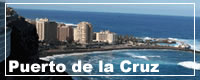 Holidays To Puerto Del la Cruz