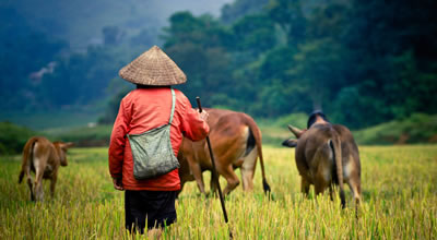 Southeast Asia Tours