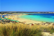 Ayia Napa