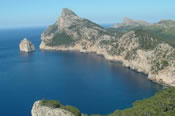 Alcudia
