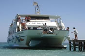 Click to find out more about Holidays to Alcudia