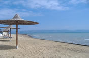 Kavos
