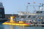 Try the submarine safari