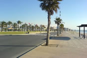 La Pineda La Pineda