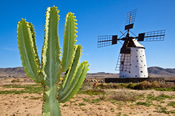 Fuerteventura Holidays