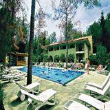 Champion Holiday Village