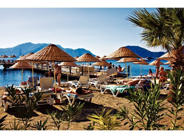 Cettia