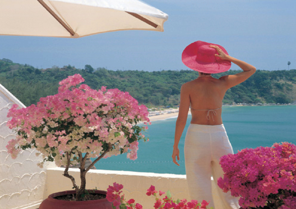 Brochure Image