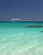 Discount Holiday