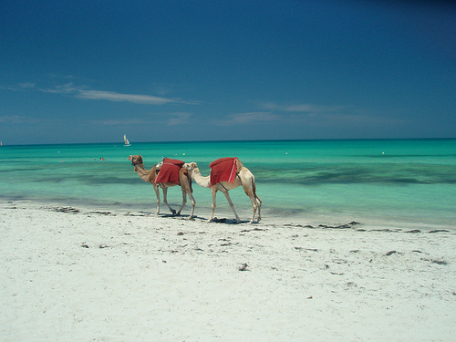 Tunisia holidays