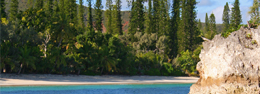 Islas de los Pinos: Nueva Caledonia