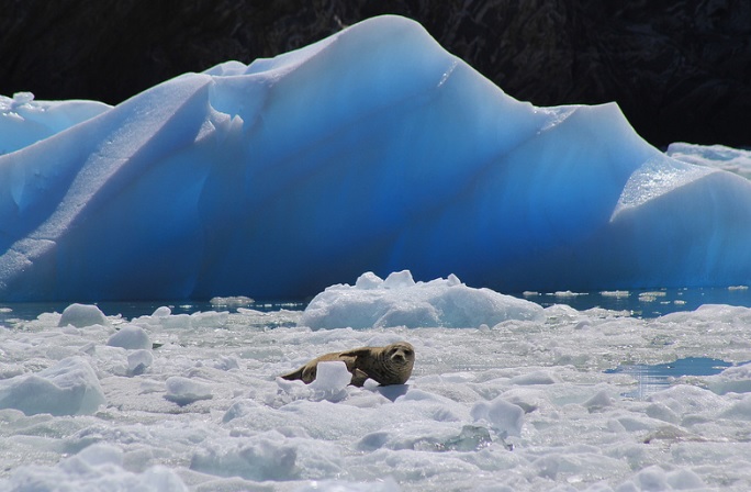 Tracy Arm Fjord