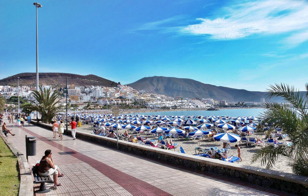 Christmas holiday deals canaries